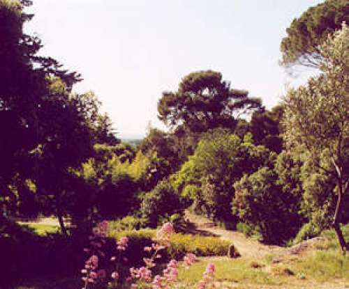 Parque del Terral