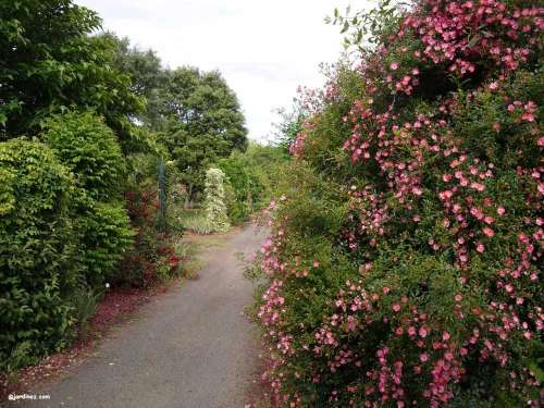 The Jean Huchet Arboretum