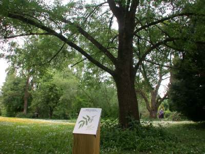 Arboretum Robert Ruffier Lanche photo 2