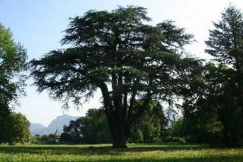 Parc et Jardins du Château de Sassenage