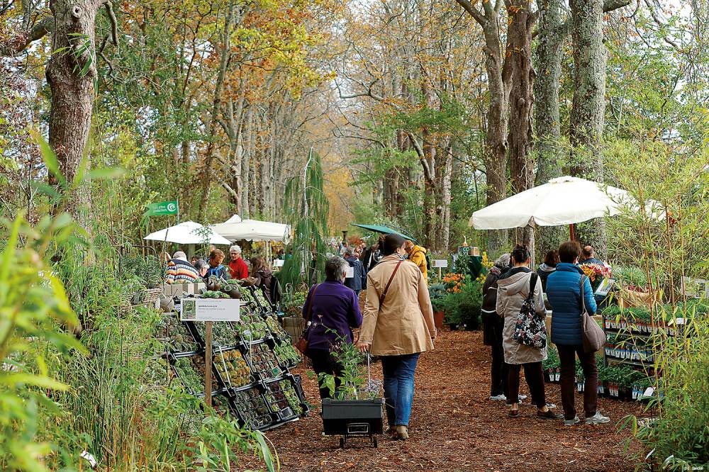 Die Domäne von Chaumont-sur-Loire und das Internationale Gartenfestival photo 11