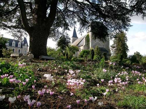 Botanical Garden of the Priory of Orchaise