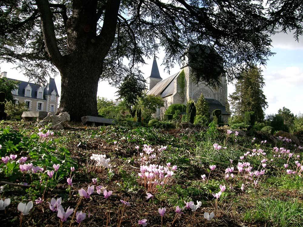 Botanical Garden of the Priory of Orchaise photo 0