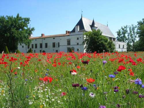 Château de La Bastie d'Urfé et ses jardins