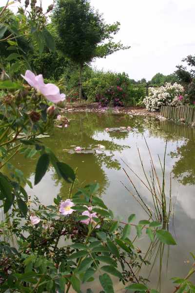Der Rosengarten von Saint-Galmier photo 7
