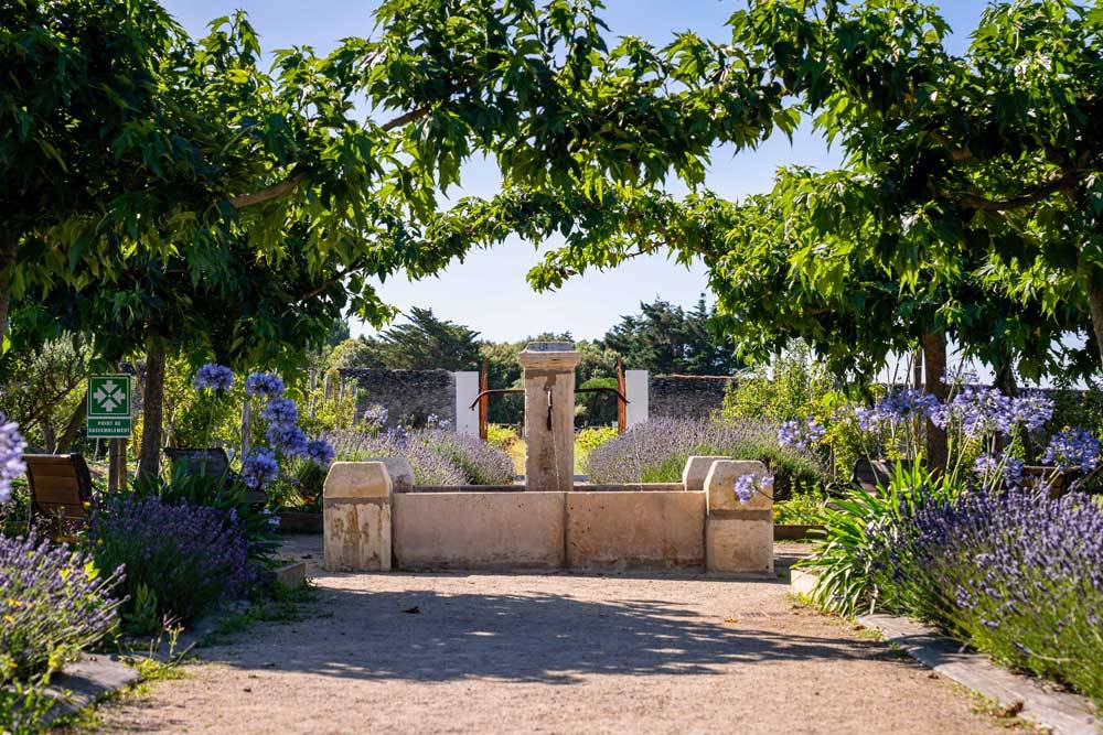 The gardens of the Eco-Domaine La Fontaine photo 0