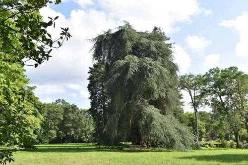 Parc du Château de la Droitière