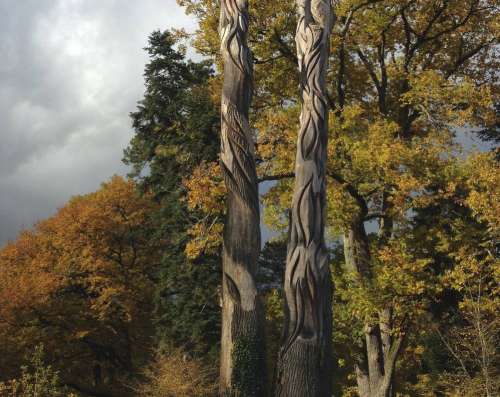 National Arboretum Of Les Barres