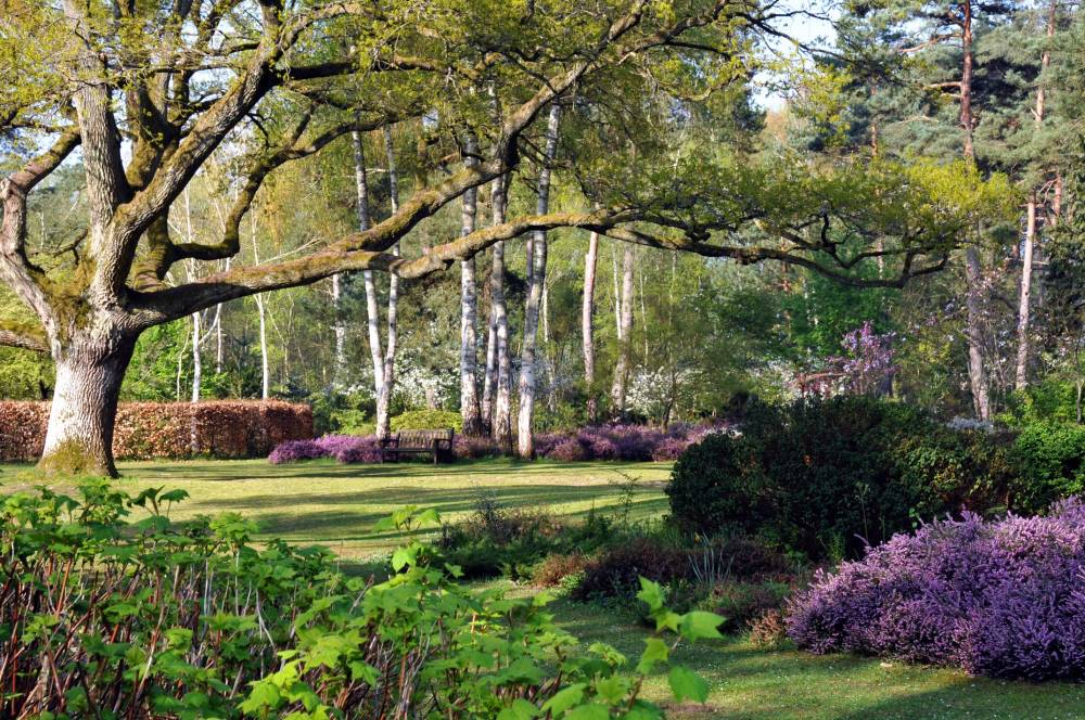 Bienvenue à l'Arboretum des Grandes Bruyères, Arboretum des Grandes Bruyères, Ingrannes (45)
