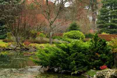 Arboretum des Grandes Bruyères photo 10