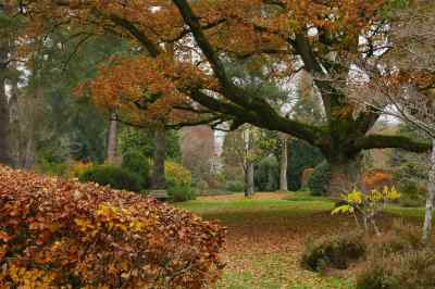Arboretum des Grandes Bruyères photo 12