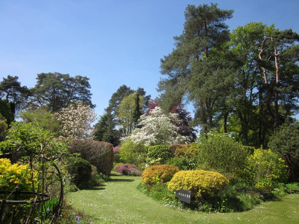 Arboretum des Grandes Bruyères photo 6