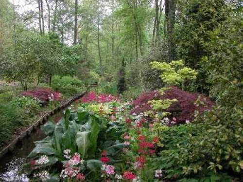 Jardin Arboretum d'Ilex