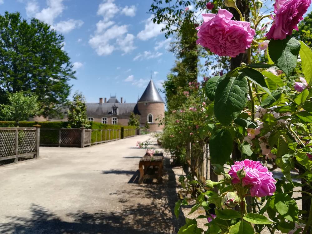 Der Park und die Gärten des Schlosses von Chamerolles photo 10