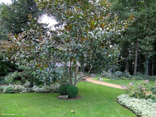 Jardin des Dentelles