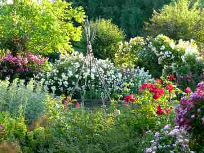 Les Jardins de Roquelin