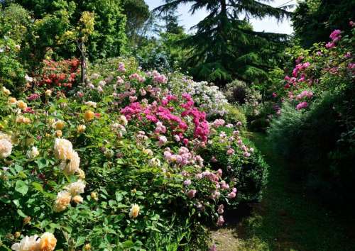 Jardin de Boissonna