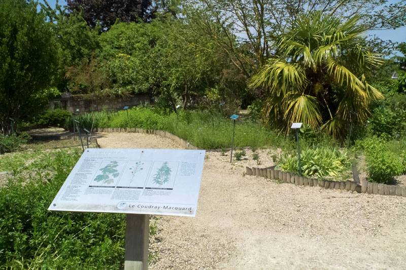 Jardin Botanique de Le Coudray-Macouard