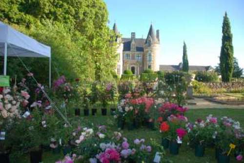 Jardins du Château du Pin