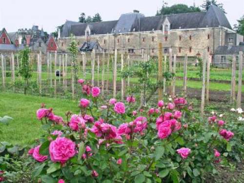 Le Potager du Château de Challain-la-Potherie