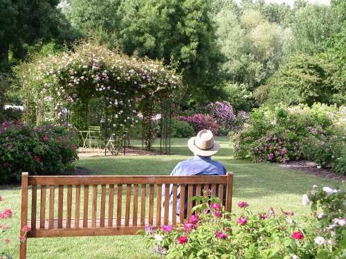 Les Chemins de la Rose