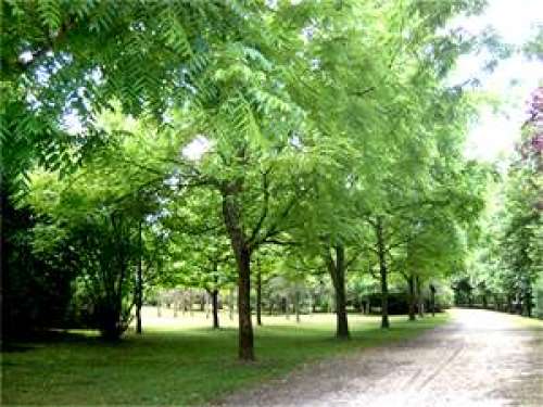 Arboretum Of Montmorency