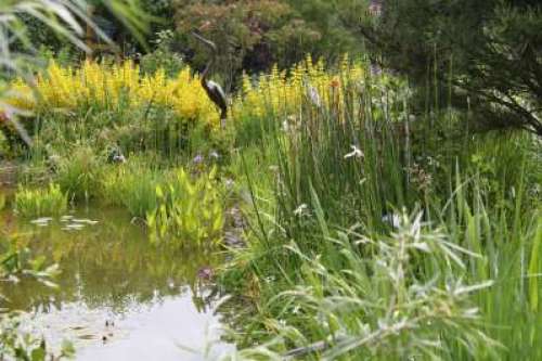 Un jardin pour tous les sens