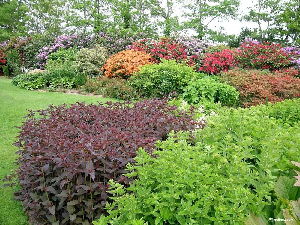 Les Jardins des Renaudies