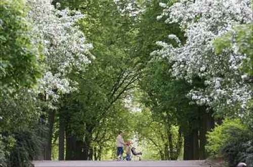 El Parque de la Pépinière