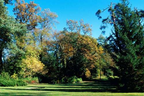 Parc de la Grange aux Champs