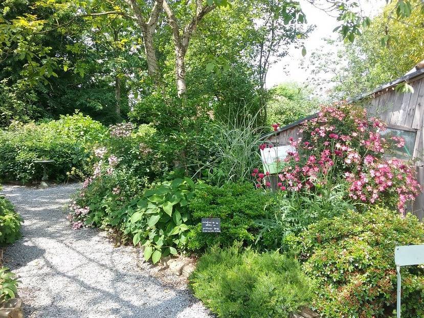 The hydrangea Garden of Haut-Bois