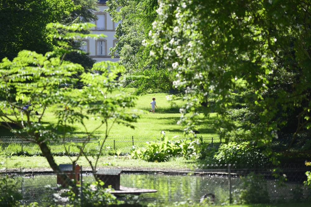 Botanical Garden Of Metz photo 2