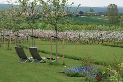 The Fruit Tree Gardens of Laquenexy