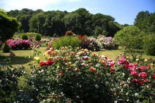 La Roseraie de Couloisy