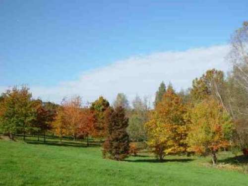 Arboretum de Boiscorde