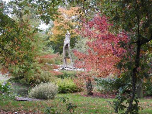 Botanical Garden of Le Bois du Puits 