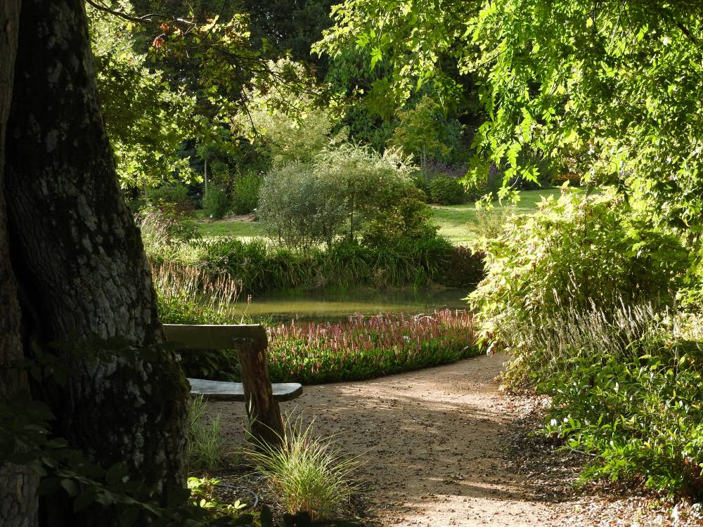 Botanical Garden of Le Bois du Puits  photo 3