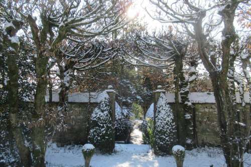 Botanical Garden Of La Petite Rochelle