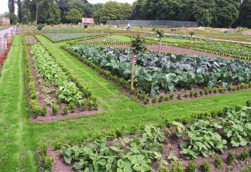 The Garden of the Manor or the Val Saint Esprit Charterhouse