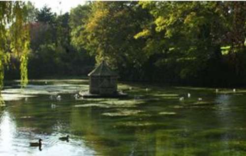 El Jardín Minelle