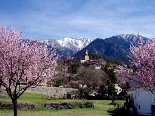 Village Arboretum de Vernet Les Bains