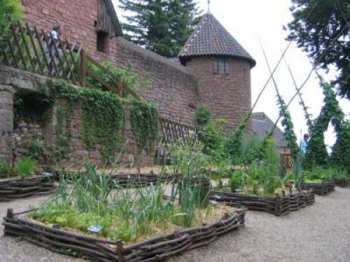 Jardin Médiéval du Château du Haut-Koenigsbourg