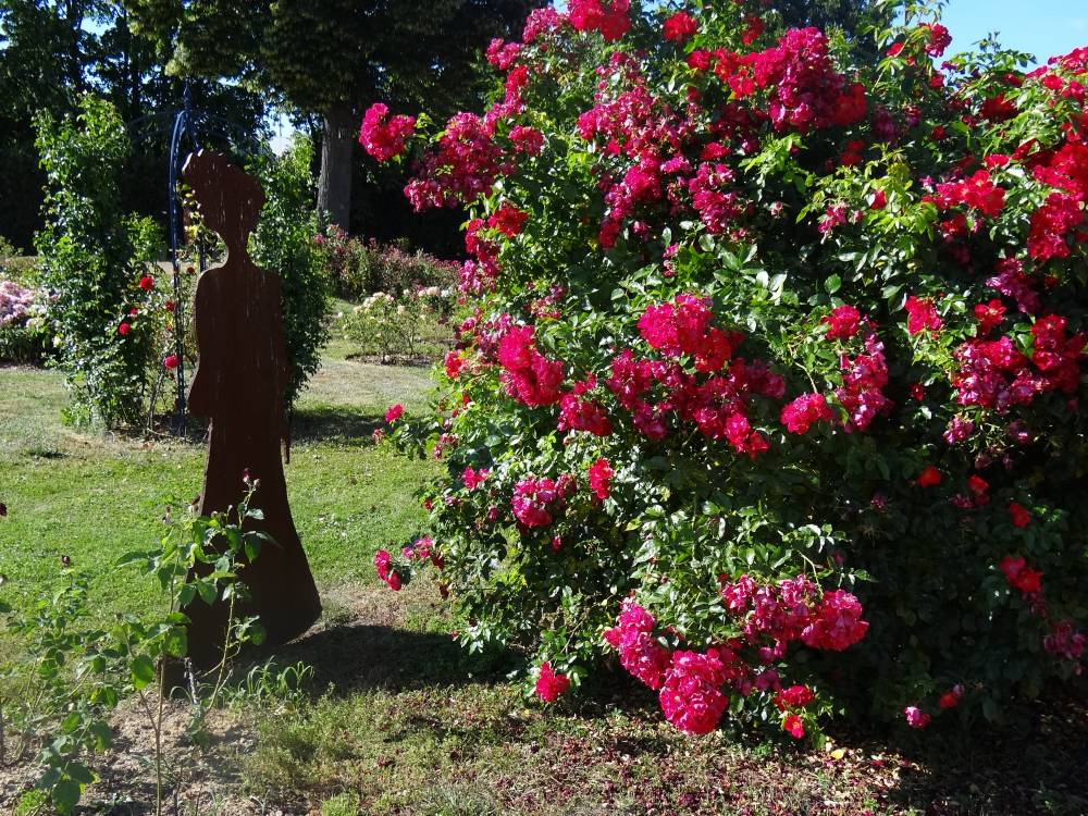 The Saverne Rose Garden photo 10