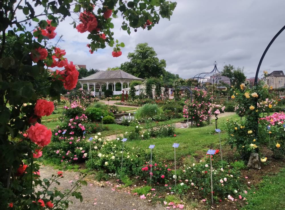 The Saverne Rose Garden photo 5