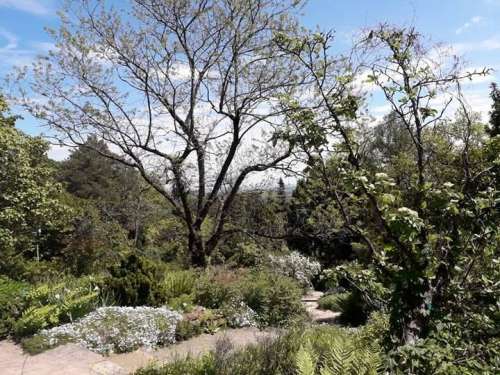 Botanical Garden Of The Col de Saverne