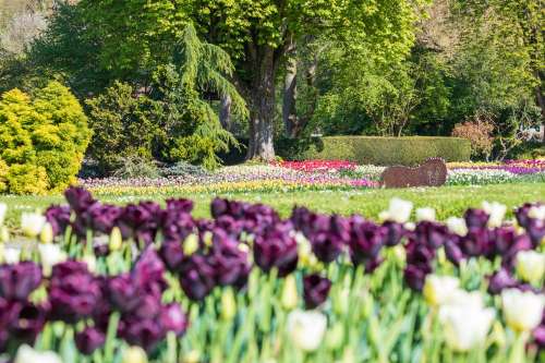 Zoological and Botanical Gardens Of Mulhouse