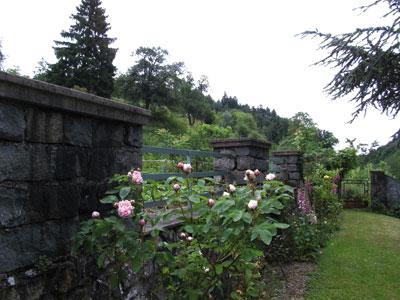 I Giardini di Niederwyhl photo 3