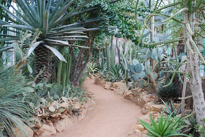 Giardino Botanico di Lione photo 3