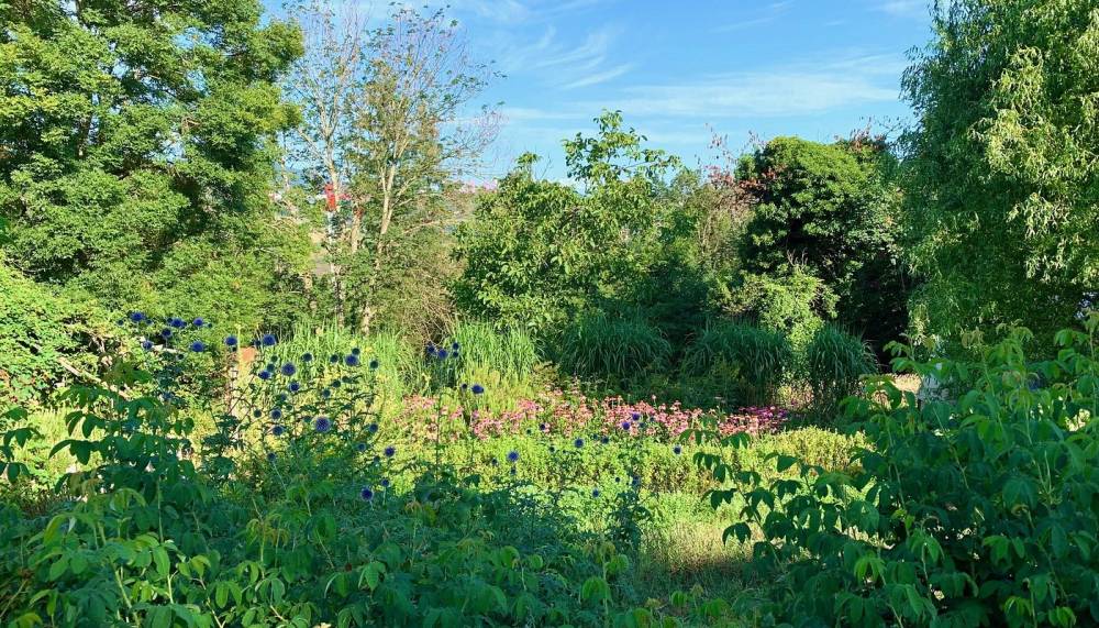 Les Jardins de la Source Dorée