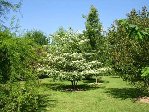 Arboretum du Tuffeau